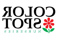 colorspot logo