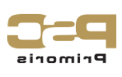 PSC primoris logo