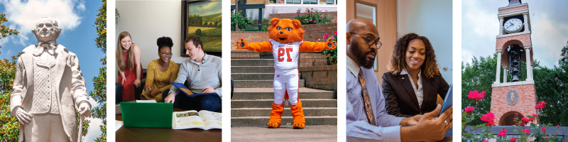 Collage of bell tower, a student and a professor reviewing an assignment, mascot Sammy Bearkat, a group of students collaborating, and the Sam Houston statue on campus.